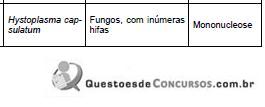 Imagem 006.jpg