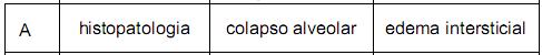 Imagem 002.jpg