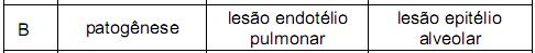 Imagem 003.jpg