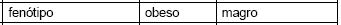 Imagem 005.jpg
