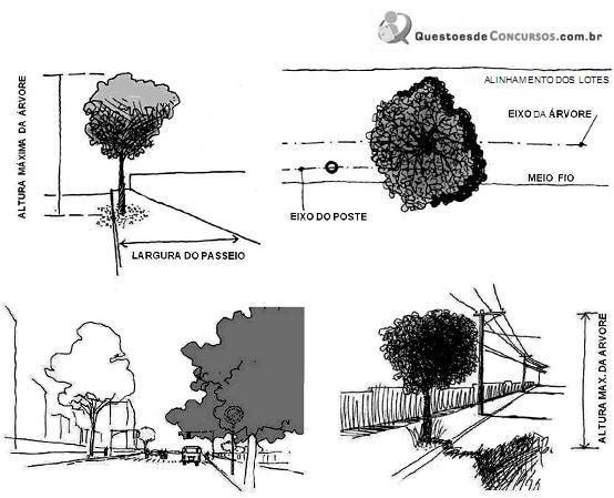 Imagem 010.jpg