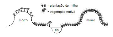 Imagem 015.jpg