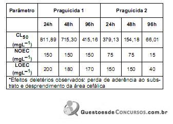 Imagem 010.jpg