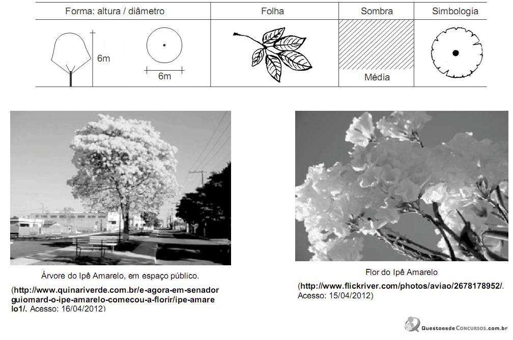 Imagem 018.jpg