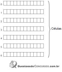 imagem-011.jpg