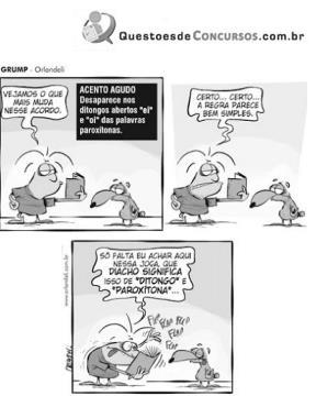 imagem-002.jpg