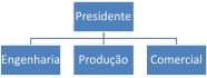 imagem-012.jpg