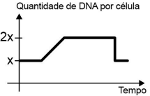 51.png 215×137