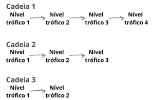 49.png 296×195