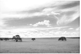 54_c.png 270×182