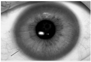 Q41.png 321×217