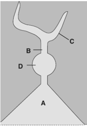 Q36.png 178×257