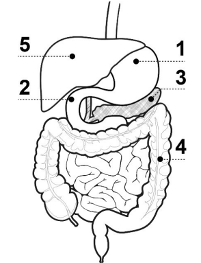 Captura_de tela 2025-04-02 152927.png 294×383