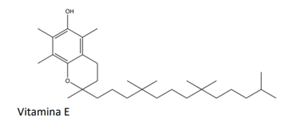 Q48C.png 289×129