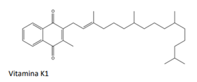 Q48D.png 288×120
