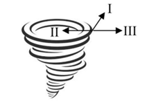Q41.png 228×146