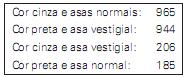 Imagem 007.jpg