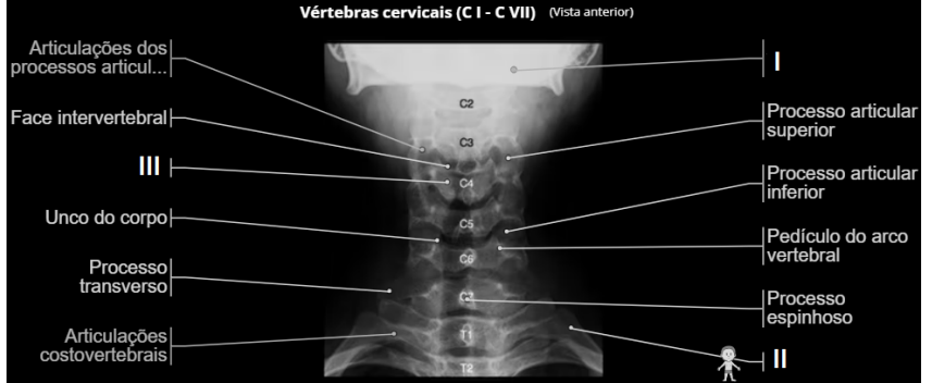 Captura_de tela 2025-11-20 184008.png 857×352