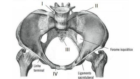 Captura_de tela 2025-11-21 113622.png 476×269