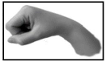 27_d.png 106×61