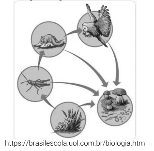 Captura_de tela 2025-06-23 163419.png 318×312