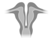 Captura_de tela 2024-12-17 102134.png 106×80