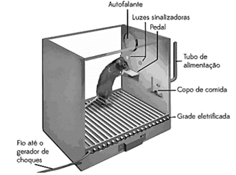 Q10.png 344×256