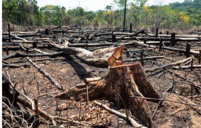 Captura_de tela 2025-05-29 203033.png 393×251