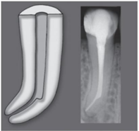 Q44.png 197×185