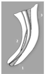 Q43.png 150×246