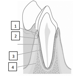 Q36.png 253×252