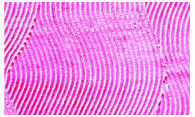 Captura_de tela 2025-05-05 174554.png 396×239