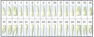 Q36.png 310×122
