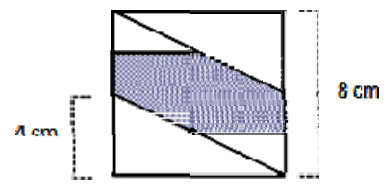 Q28.png 388×190