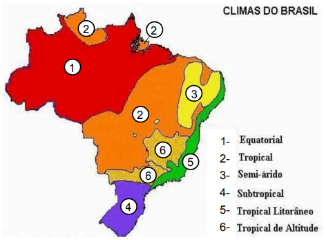 Captura_de tela 2024-12-03 091143.png 472×347