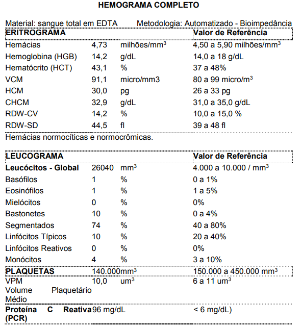 Captura_de tela 2024-11-01 100110.png 592×641