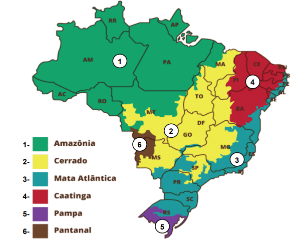 Q26.png 587×481