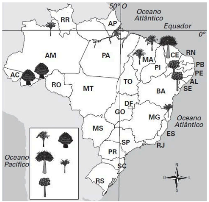 Imagem associada para resolução da questão