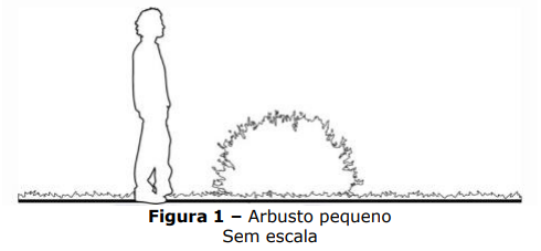 Captura_de tela 2025-05-16 201535.png 490×227
