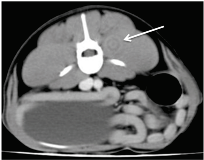 Captura_de tela 2025-07-17 141204.png 412×323