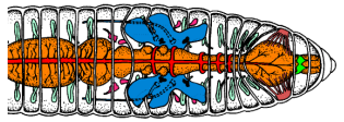 41.png 315×112