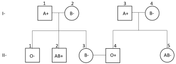 27.png 346×126