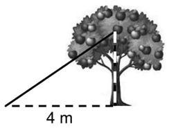 Q38.png 244×192