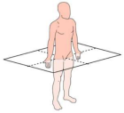 31.png 140×127