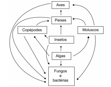 Captura_de tela 2025-03-07 152337.png 370×289