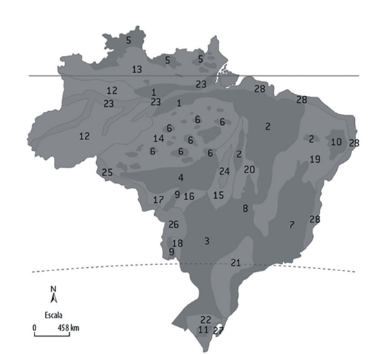 Q24.png 532×513