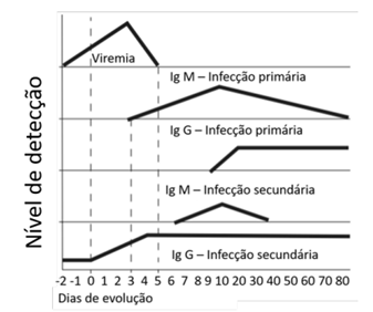 Q35.png 337×282