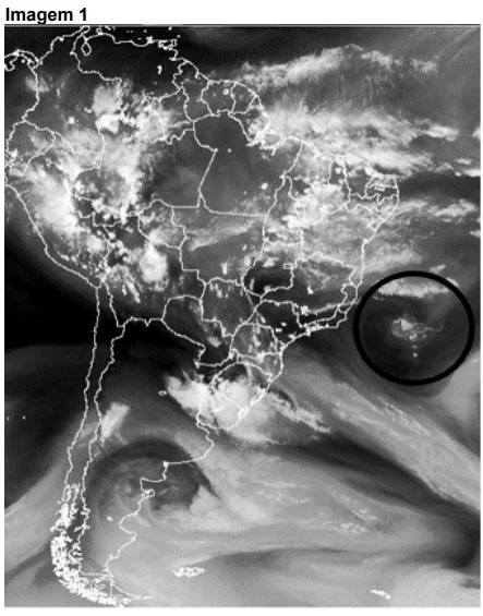 Q44_1.png 443×565