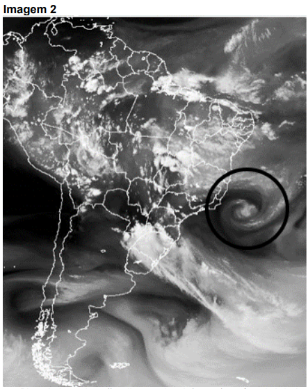 Q44_2.png 443×560