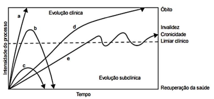 Q35.png 428×198